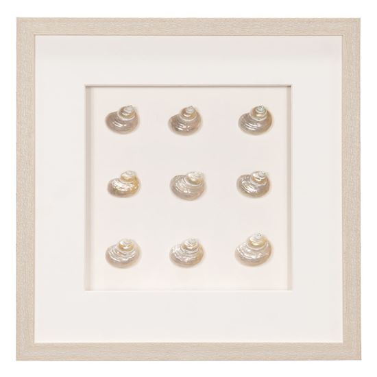 Pearlescent Sea Shell Shadow Box Wall Decor