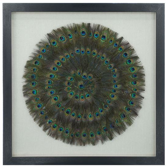 Peacock Feather Shadow Box Wall Décor